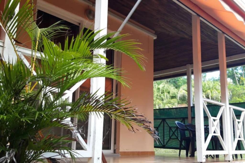Residence Ti'Keol - Appartements Avec Terrasse 2 A 4 Personnes, Piscine サンタンヌ エクステリア 写真